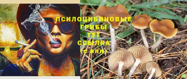 меф Арсеньев