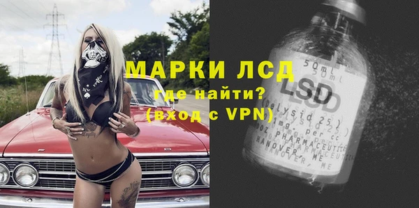 гидра Аркадак