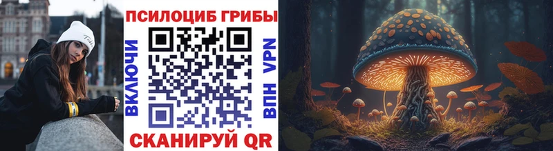 Галлюциногенные грибы Psilocybe Борисоглебск